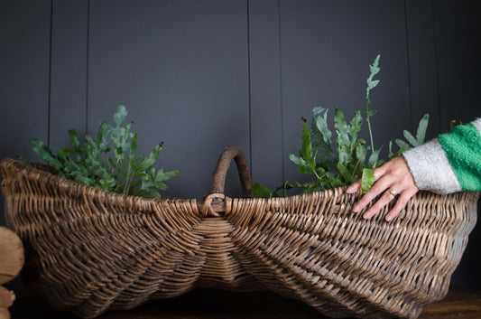 19th century French grape picking donkey buttocks basket