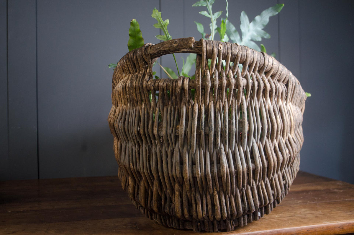 
Antique French grape harvesting basket for film and TV props