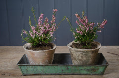 metal herb tray green
