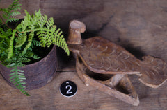 Wooden turtle figurine and potted fern on a wooden surface with a number '2' tag.