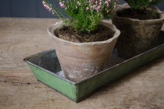 sarah raven plant tray