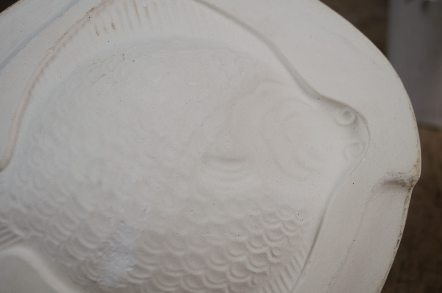 Decorative plaster Fish Moulds