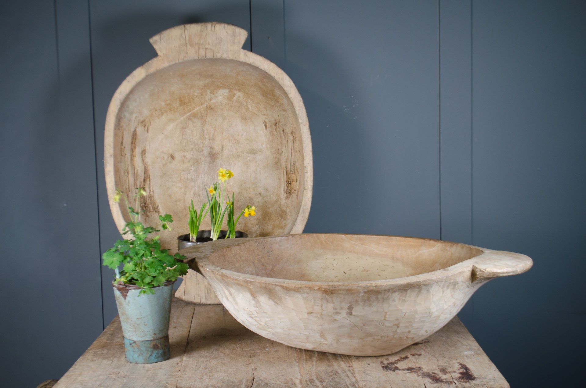
Antique Dutch dough bowl hand carved from single piece of wood with pale finish and wide shallow form