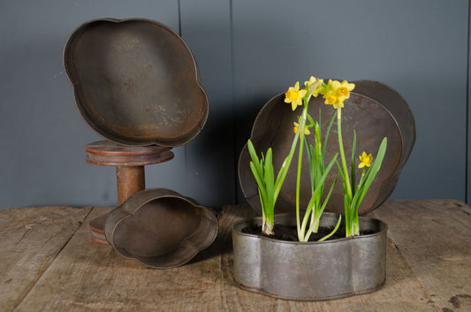 Vintage metal cake tins in octagonal shape with aged patina used as planters with flowers