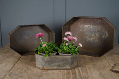 Stacked vintage cake tins in round shape with weathered metal finish alongside planted example