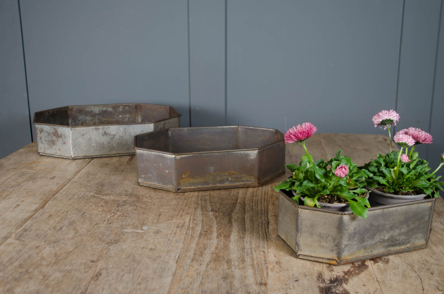Two metal hexagonal planters on a wooden surface with a dark gray wall in the background.