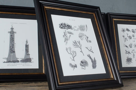 Bookplate prints