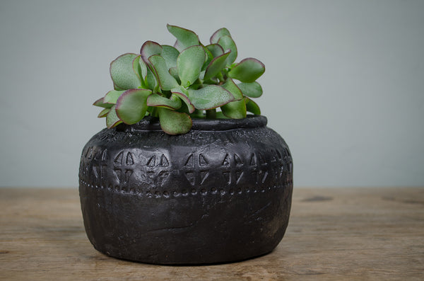 black rustic plant pot