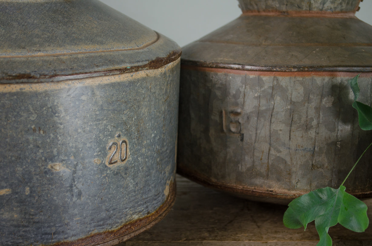 indian water carrier