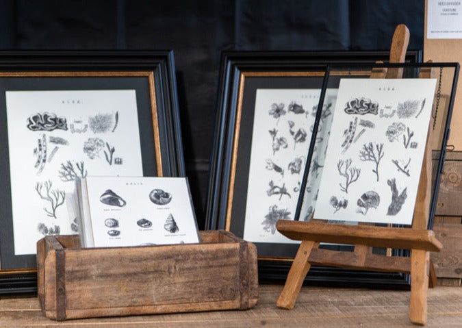 Bookplate prints